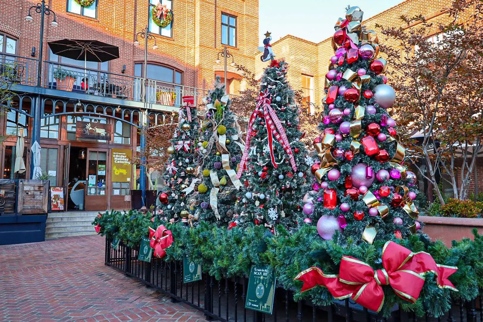 Christmas Trees in Courtyard of One Colorado